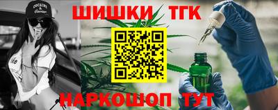 винт Сланцы