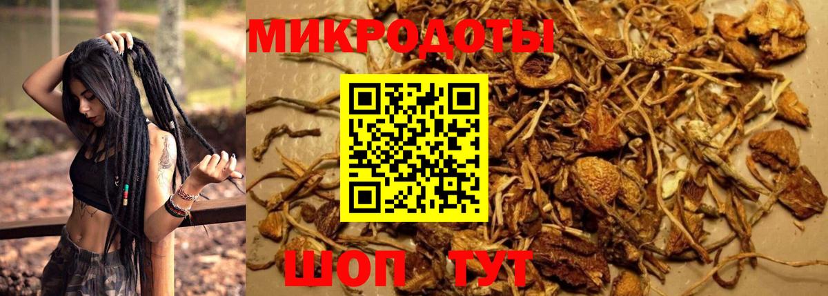 что такое   Вход с VPN  Нефтекамск  Псилоцибиновые грибы Magic Shrooms 